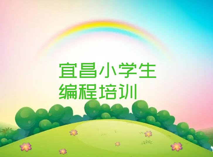 宜昌点军区少儿编程培训班