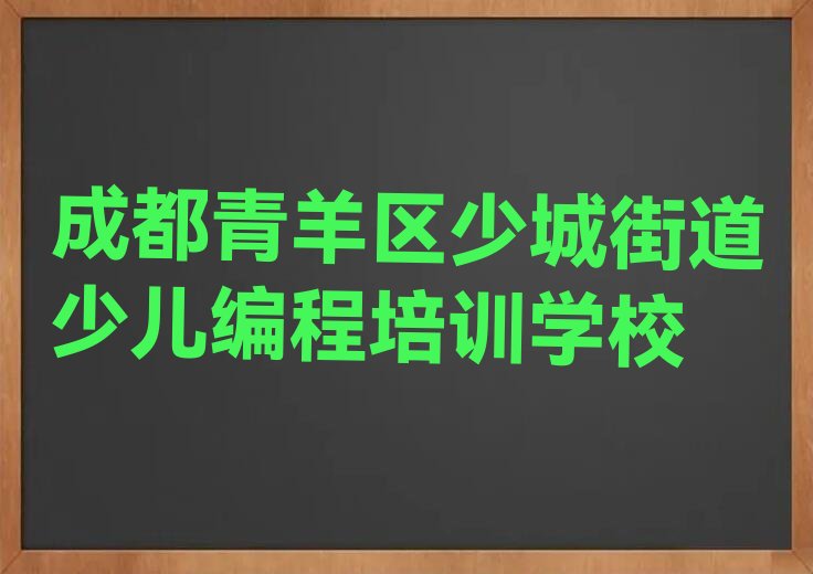 成都青羊区少城街道少儿编程培训学校