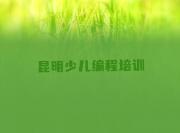 昆明西山区乐高机器人编程培训招生学费多少钱