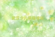 武汉少儿NOIP编程竞赛培训学校报名培训去哪
