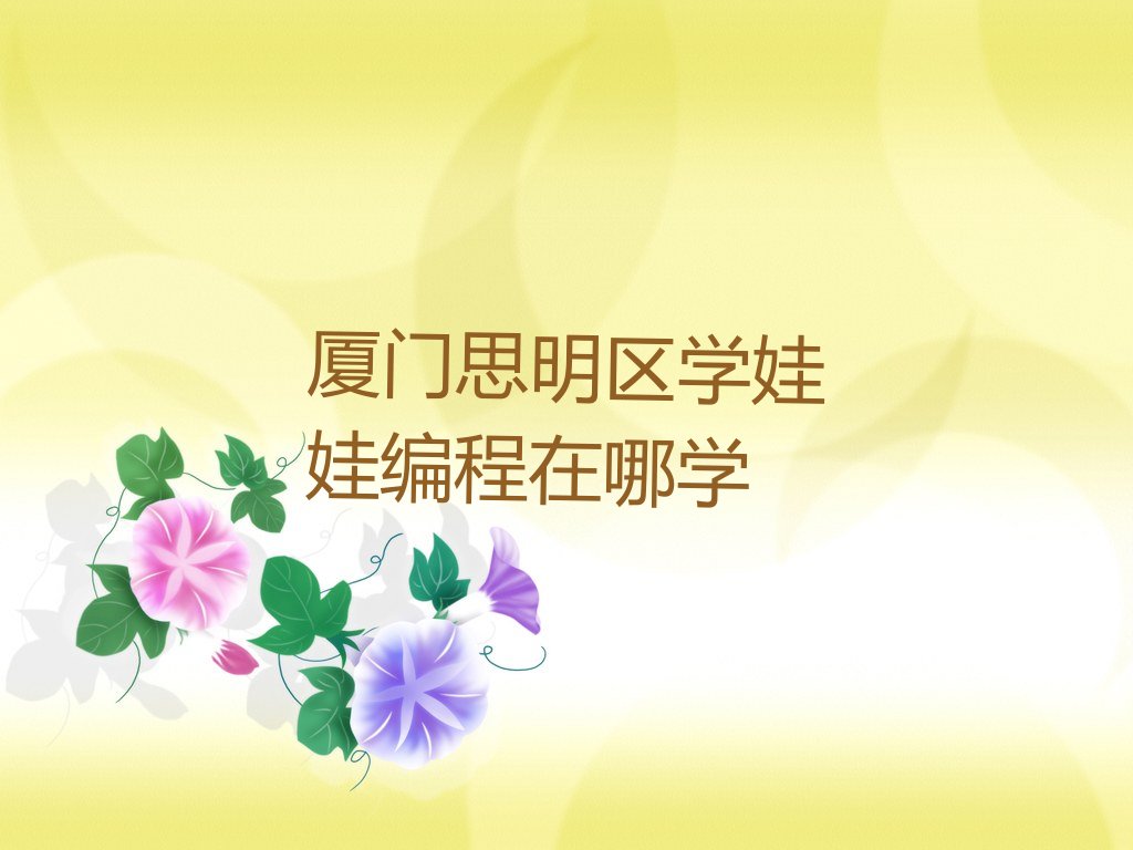 厦门思明区娃娃编程培训学校