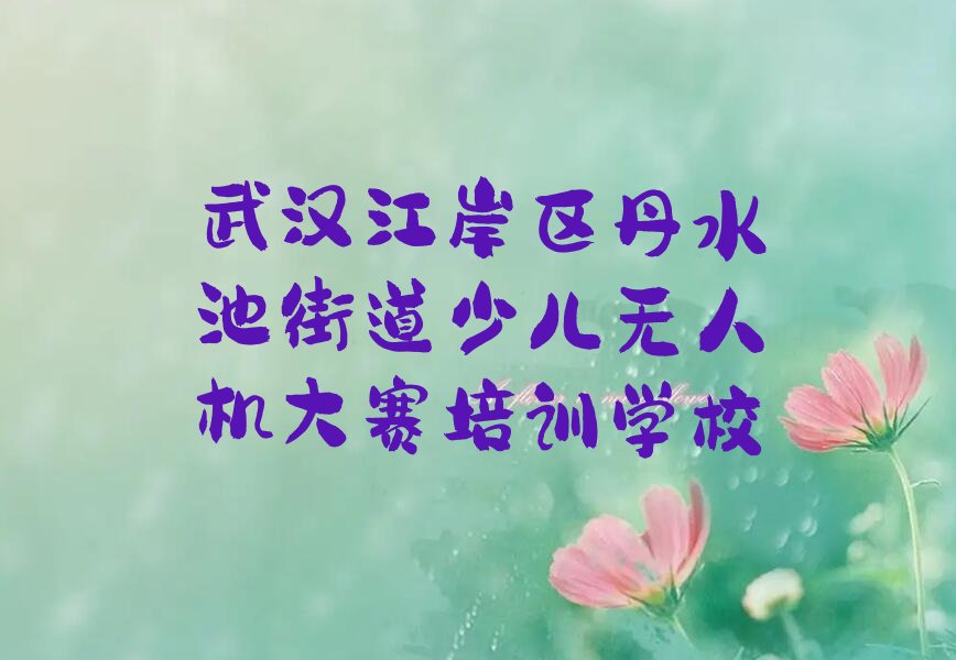 武汉江岸区丹水池街道少儿无人机大赛培训学校