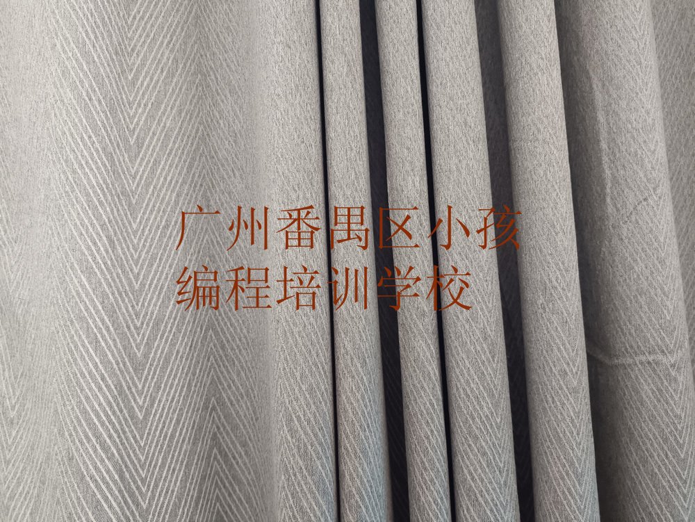 广州番禺区小孩编程培训学校