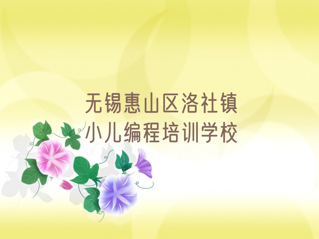无锡惠山区洛社镇小儿编程培训学校