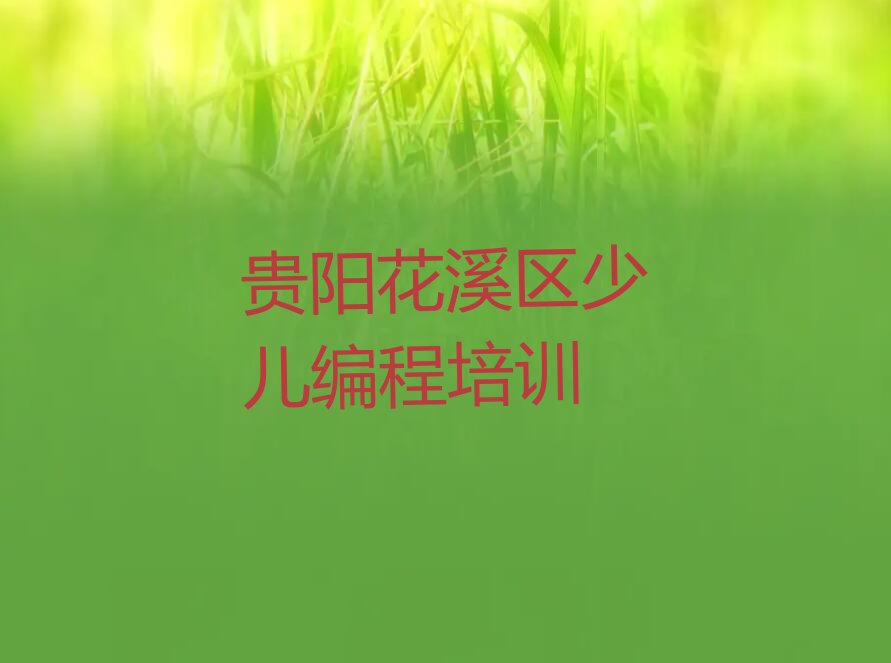 贵阳花溪区少儿编程培训