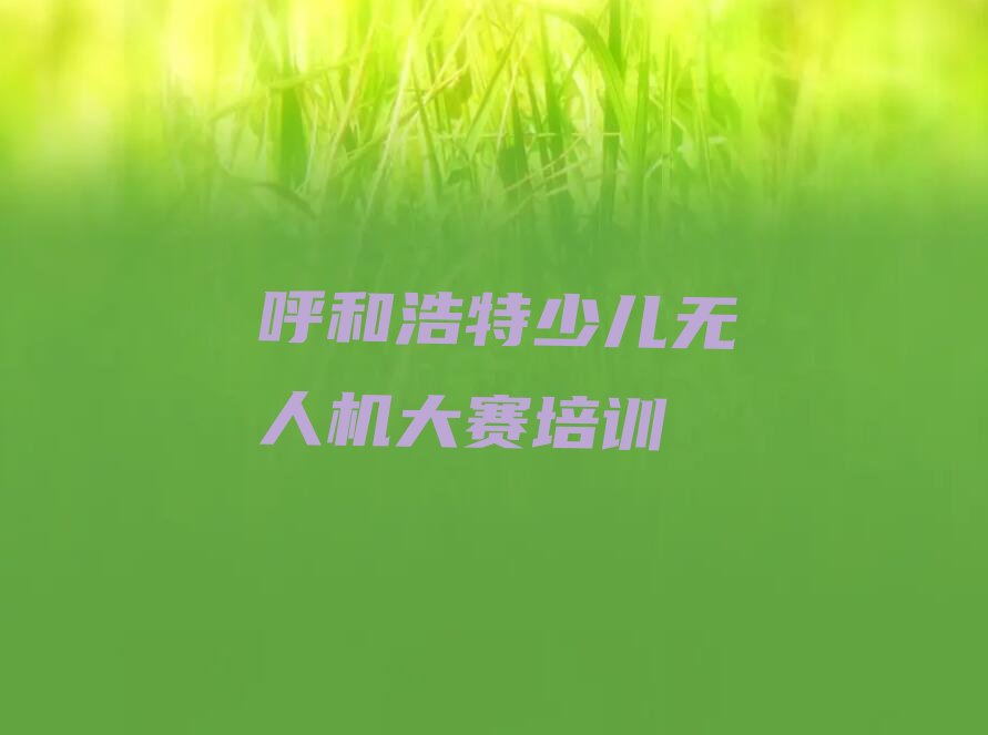 呼和浩特新城区少儿编程培训学校