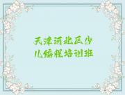 天津河北区NOIP信息学奥赛辅导班在线的和线下哪个好
