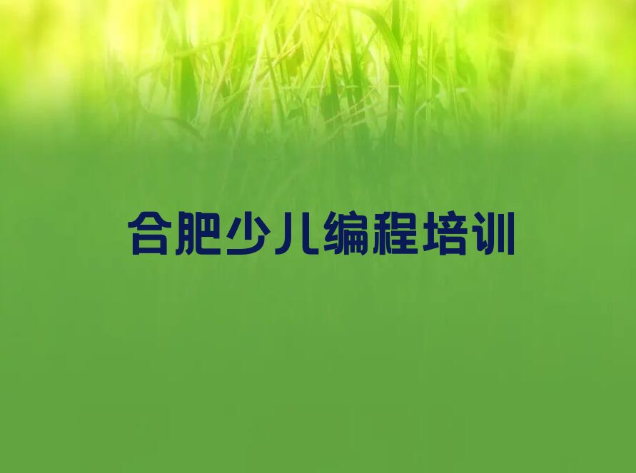 十大2025年合肥瑶海区少儿编程培训班培训机构价目表推荐今日公布一览表排行榜