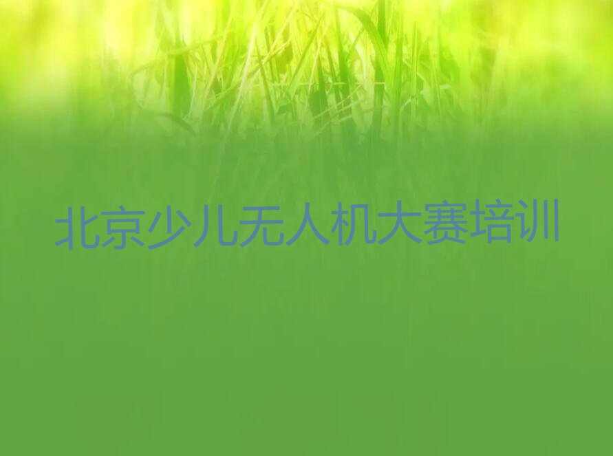 北京少儿无人机大赛培训学校