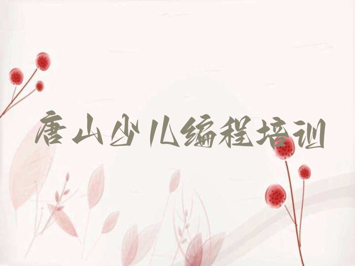 唐山少儿编程培训班