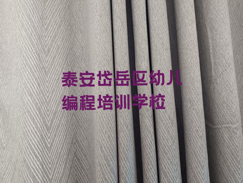 泰安岱岳区幼儿编程培训学校