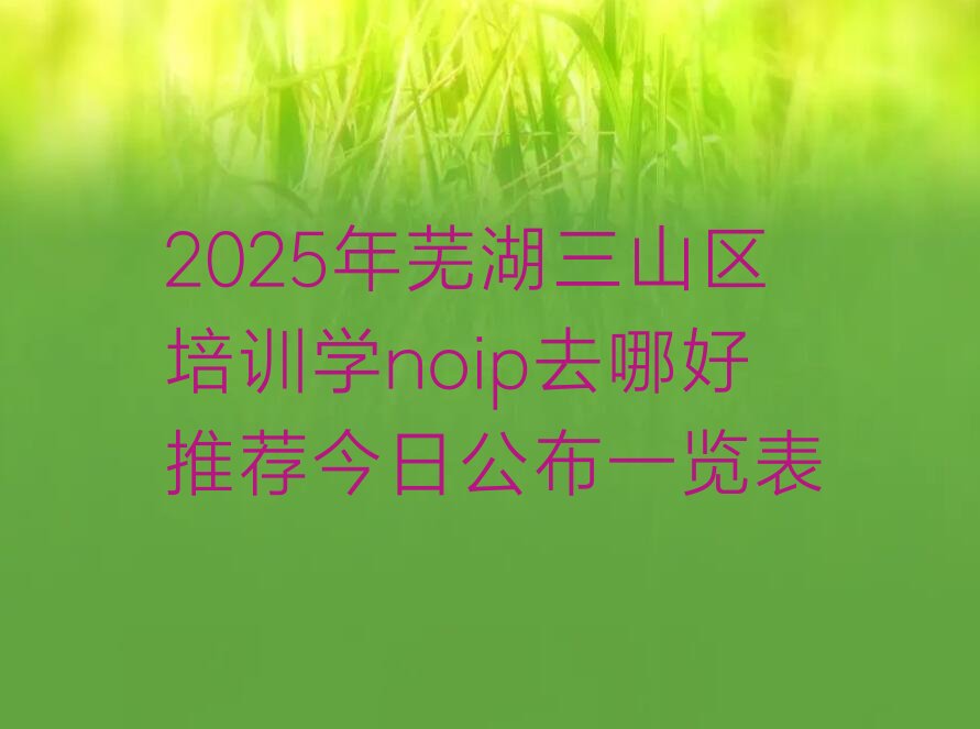 芜湖三山区noip培训学校