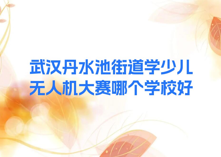 少儿无人机大赛