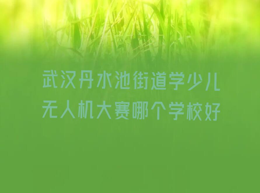 武汉江岸区丹水池街道少儿无人机大赛培训学校