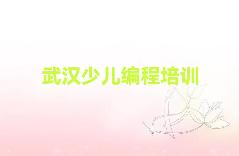 武汉黄陂区罗汉寺街道少儿编程培训学校