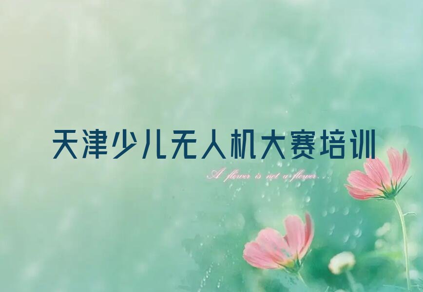 天津津南区辛庄镇少儿无人机大赛培训学校