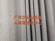 广州少儿AI机器人编程培训中心