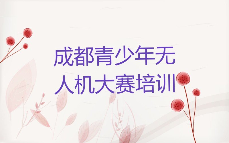 成都青白江区红阳街道青少年无人机大赛培训学校