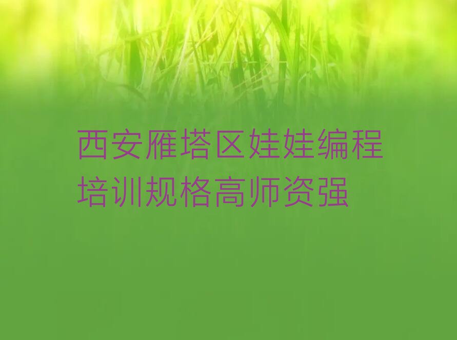 西安雁塔区少儿编程培训学校