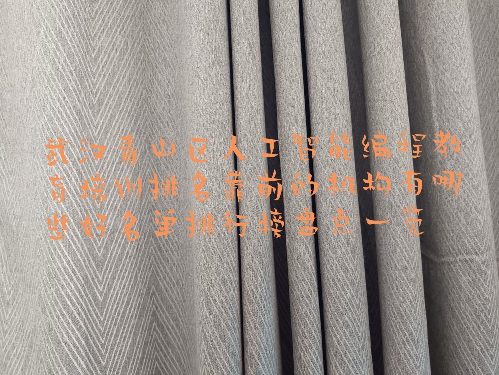 十大武汉青山区人工智能编程教育培训排名靠前的机构有哪些好名单排行榜盘点一览排行榜