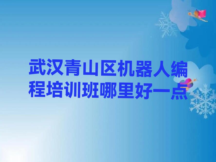 武汉青山区少儿编程培训班