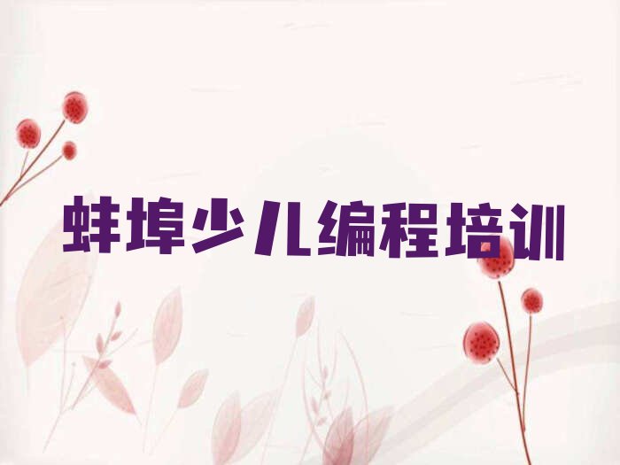 蚌埠少儿编程培训