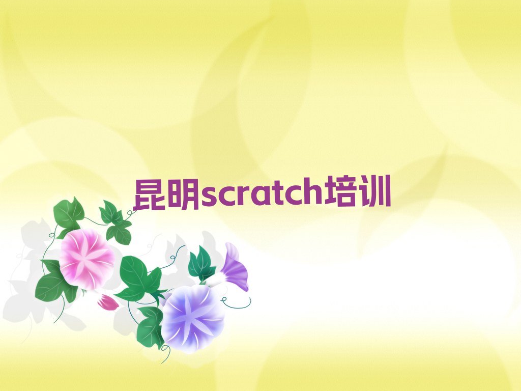 昆明东川区红土地镇scratch培训学校