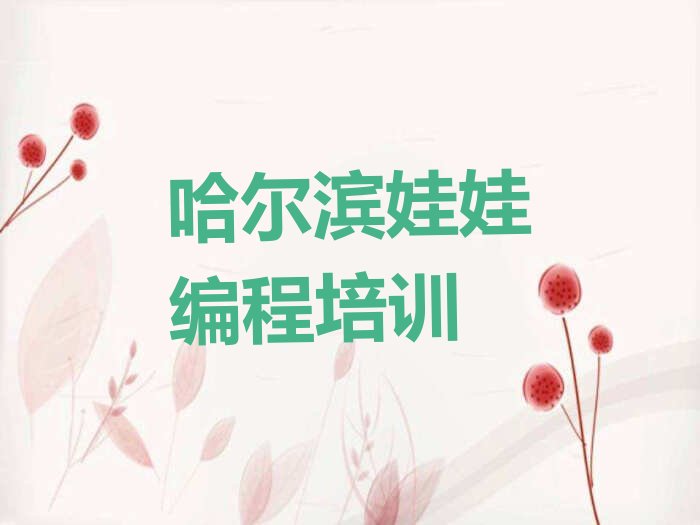 哈尔滨平房区少儿编程培训学校