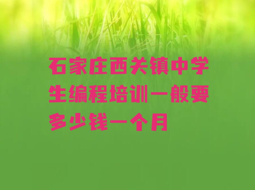 十大石家庄西关镇中学生编程培训一般要多少钱一个月排行榜