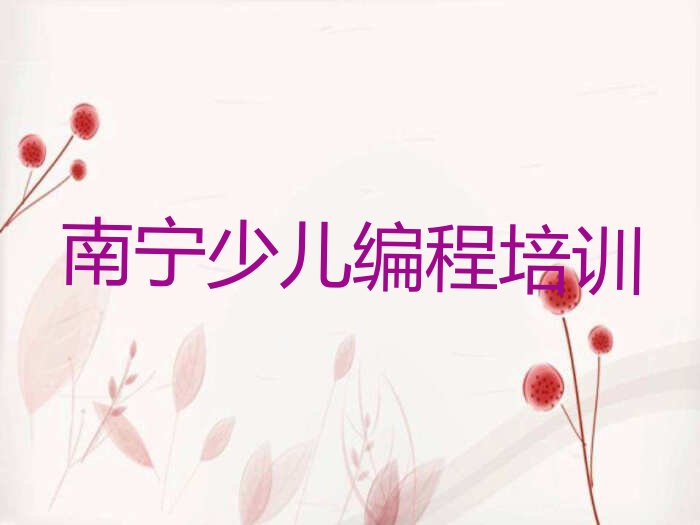 南宁兴宁区民生街道少儿编程培训学校