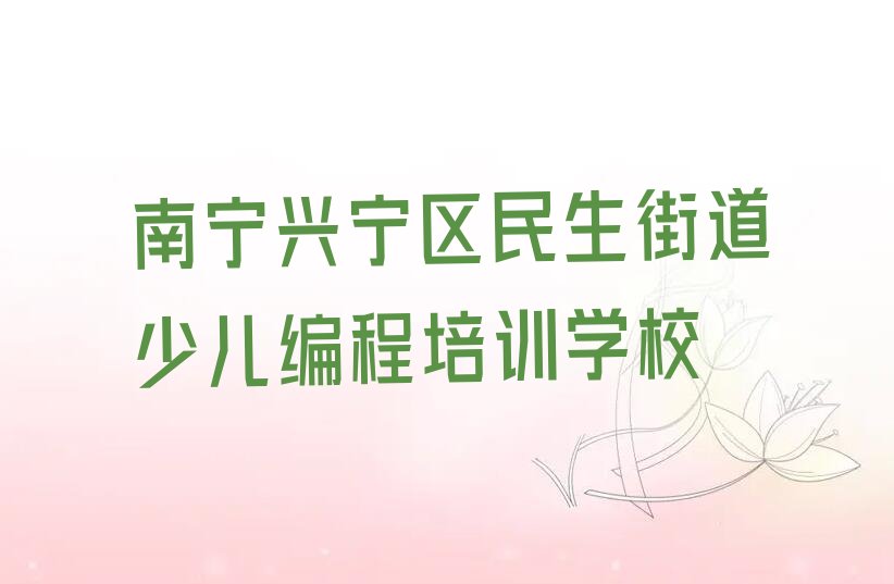 南宁兴宁区民生街道少儿编程培训学校