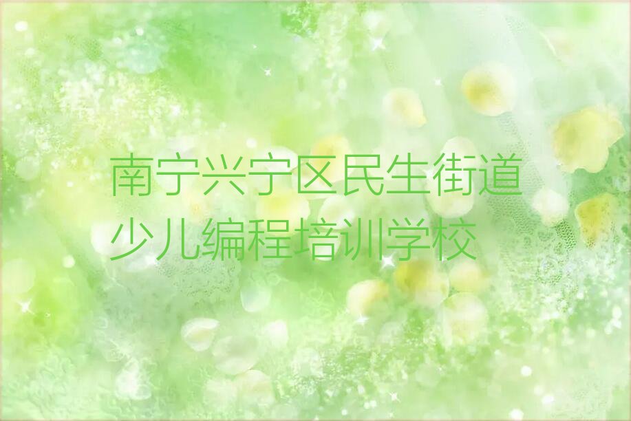 南宁兴宁区民生街道少儿编程培训学校