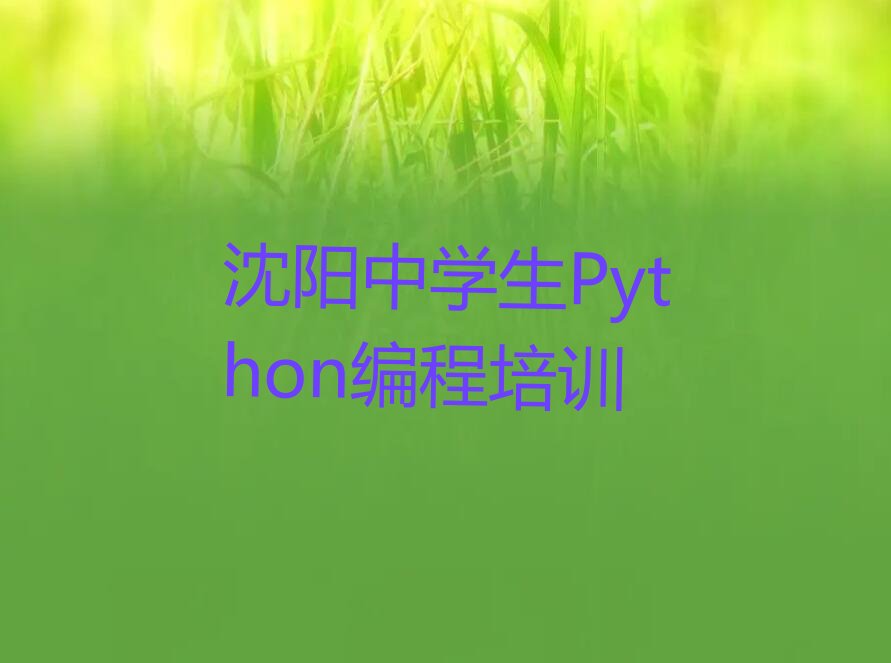 十大沈阳浑南区学中学生Python编程最好的学校是哪个排行榜