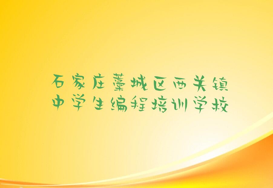 石家庄藁城区西关镇中学生编程培训学校