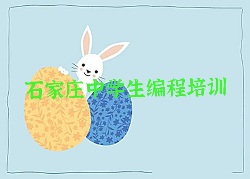 中学生编程