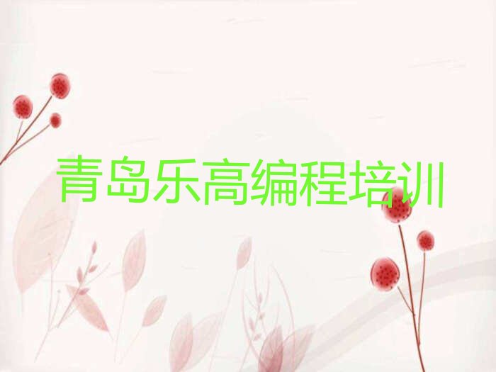 青岛市南区乐高编程培训学校
