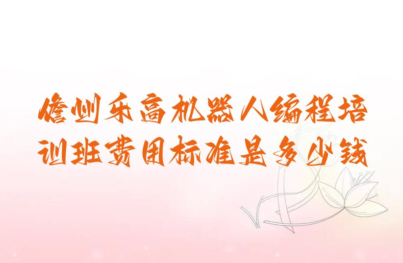 儋州少儿编程培训班