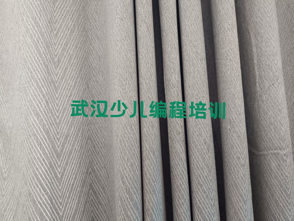 武汉青山区少儿编程培训