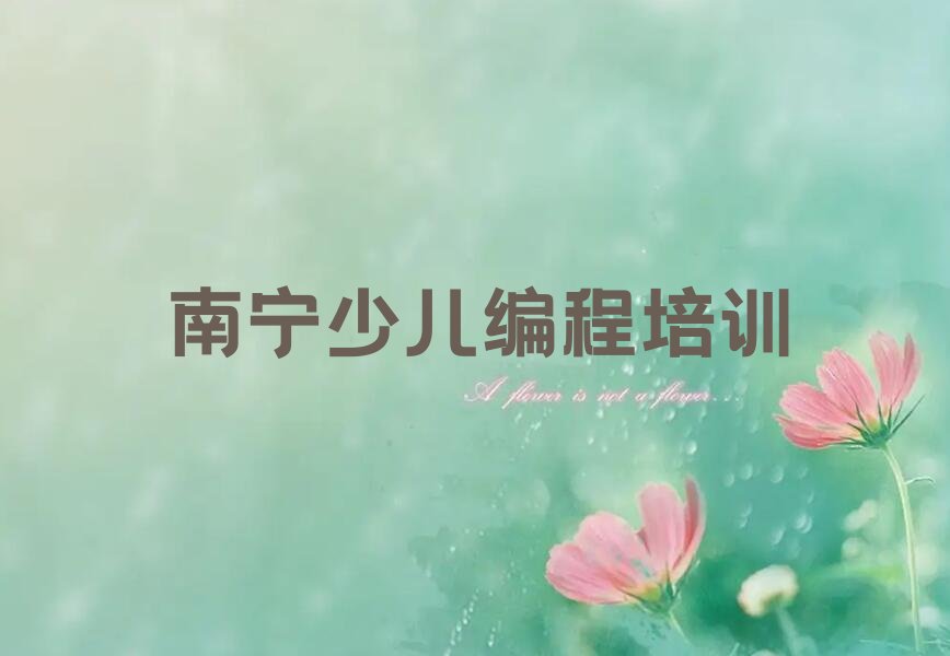 南宁少儿编程培训班