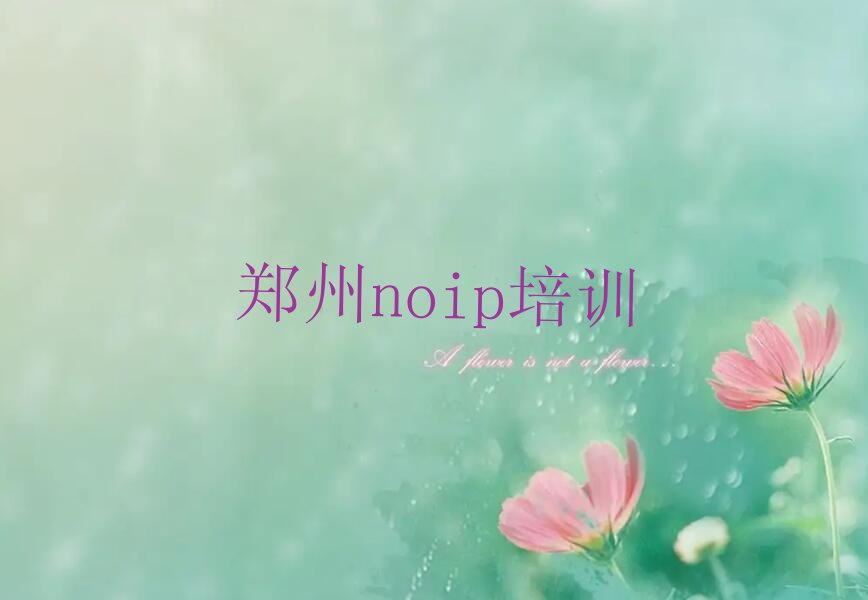 noip