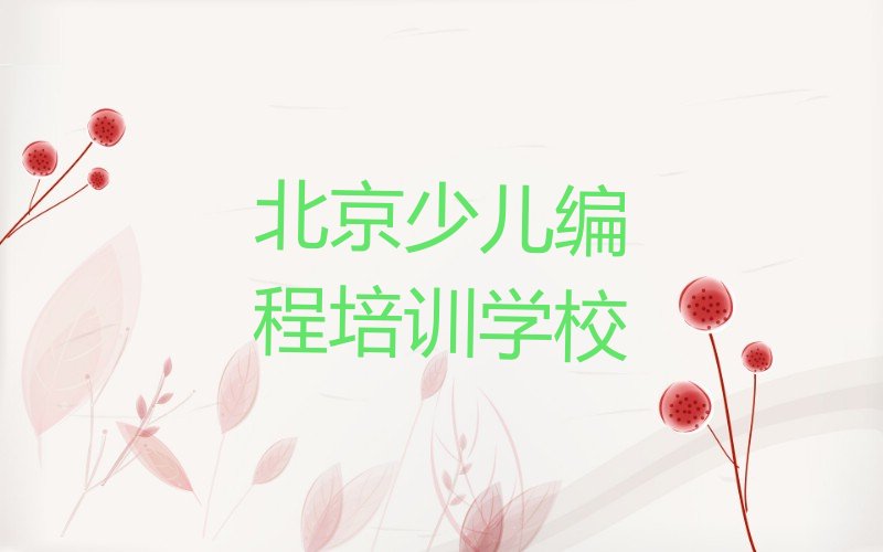 北京少儿编程培训学校