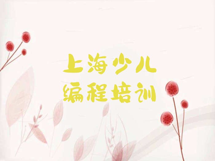 上海少儿编程培训