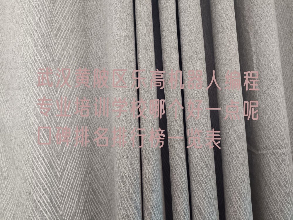 武汉少儿编程培训班