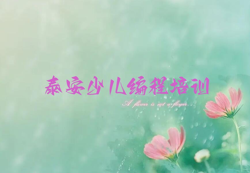 泰安少儿编程培训
