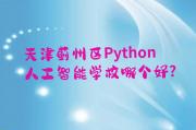 天津蓟州区Python人工智能学校哪个好?