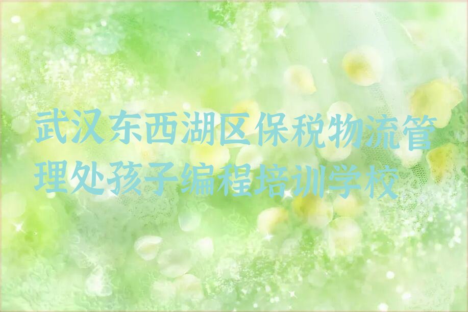 武汉东西湖区保税物流管理处孩子编程培训学校