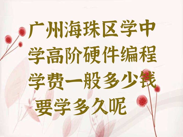 广州海珠区少儿编程培训