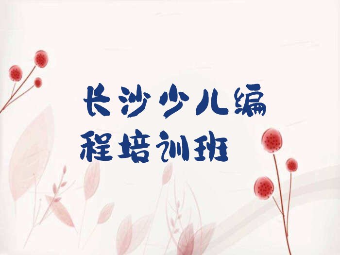长沙少儿编程培训班