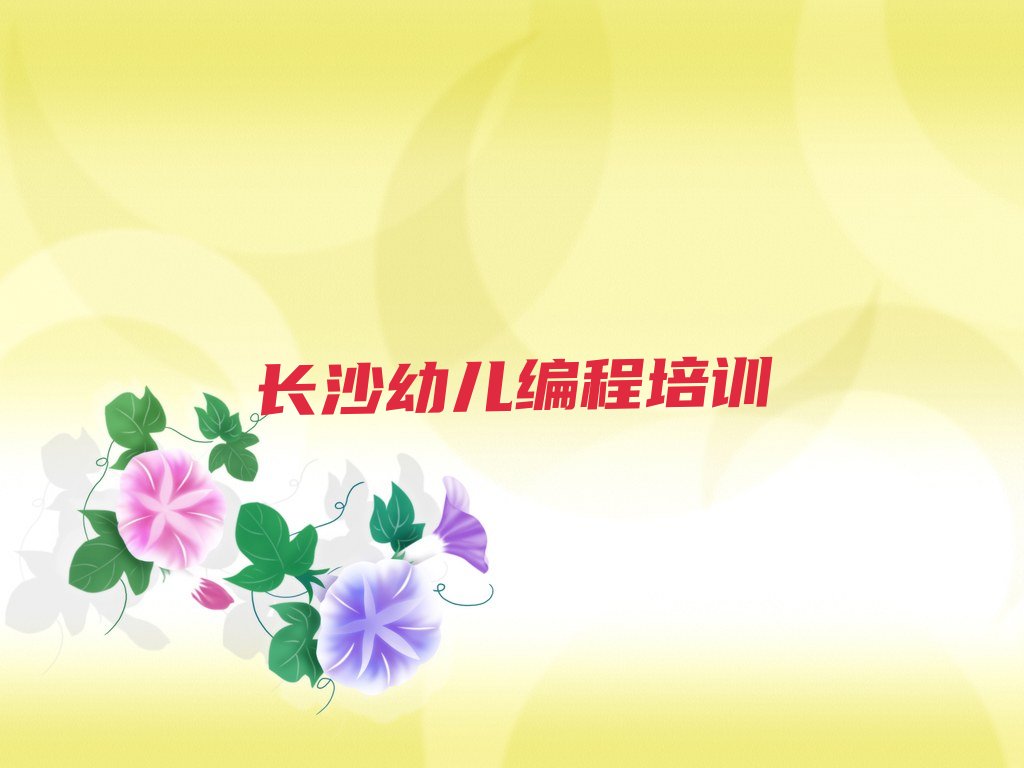 长沙少儿编程培训班