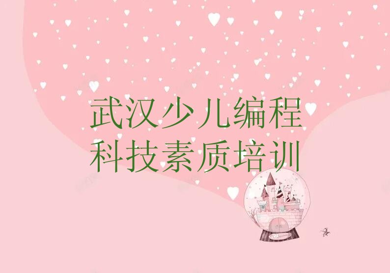 十大武汉硚口区什么学校学少儿编程科技素质好排行榜